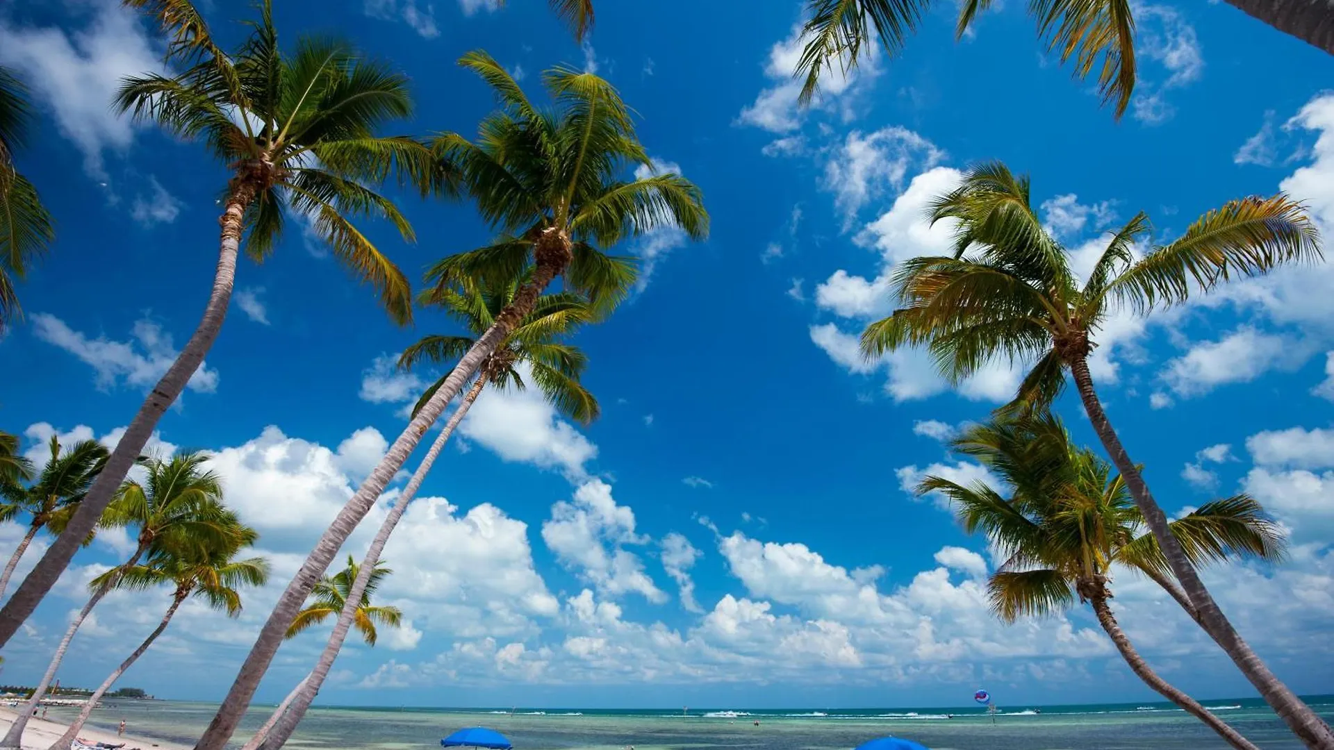 Latitude Penthouse Key West Apartamento